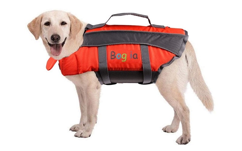 02 EL CHALECO KAYAK ACCESORIO DE SEGURIDAD PODCAST PLANETA KAYAK chaleco kayak para perro
