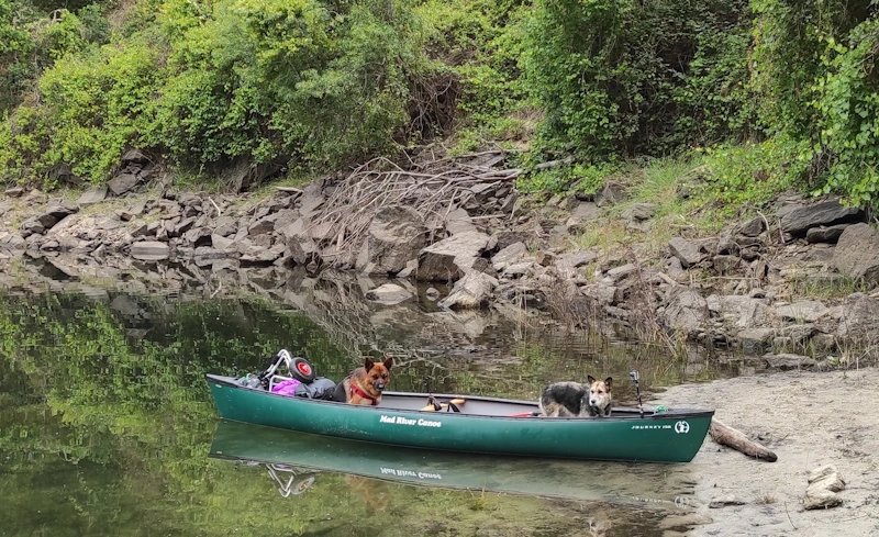 114 CANOA CANADIENSE: OTRA FORMA DE VIVIR LA AVENTURA EN EL AGUA PODCAST PLANETA KAYAK canoa con perros